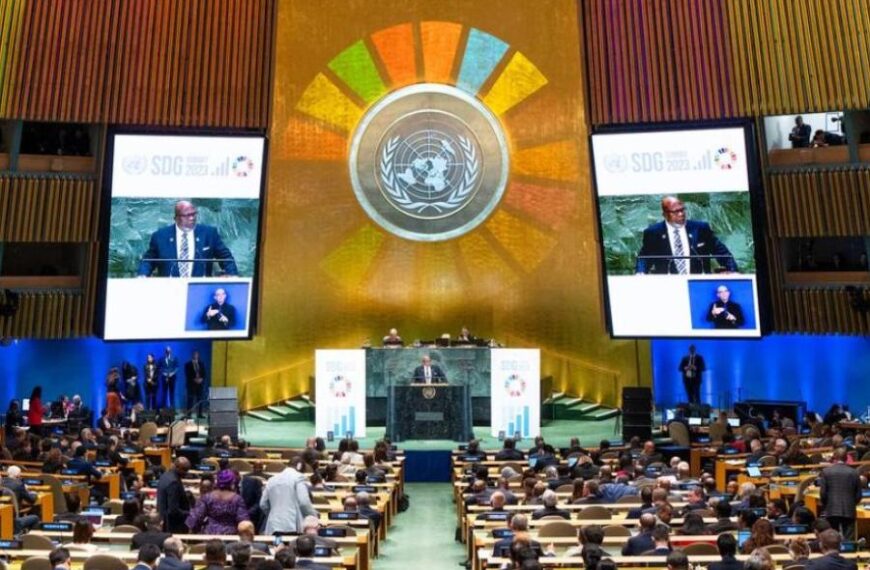 Asamblea provida en la ONU: políticos y referentes de 30 países defienden la vida y la dignidad humana
